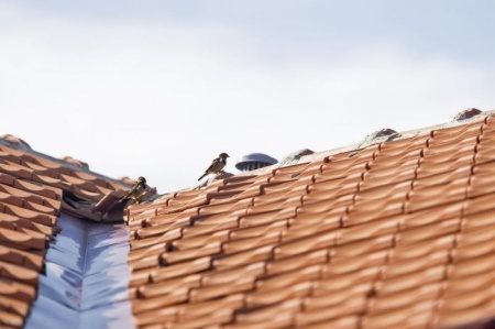 Bardage ext&eacute;rieur, quels mat&eacute;riaux choisir pour votre fa&ccedil;ade ?